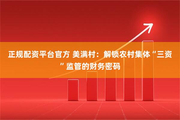 正规配资平台官方 美满村：解锁农村集体“三资”监管的财务密码